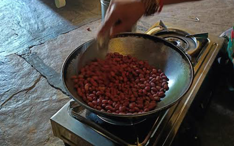 Biogas Production